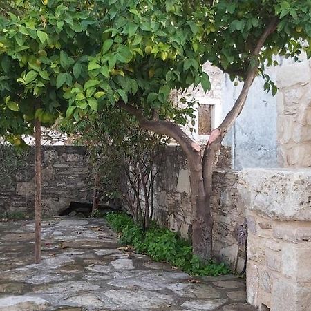 Small Traditional House In Asfendiou Kos Agios Dimitrios  ภายนอก รูปภาพ