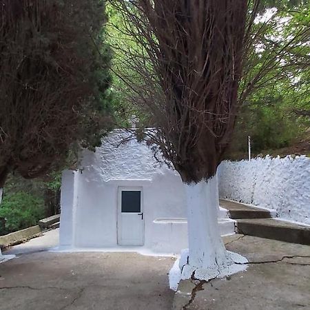 Small Traditional House In Asfendiou Kos Agios Dimitrios  ภายนอก รูปภาพ