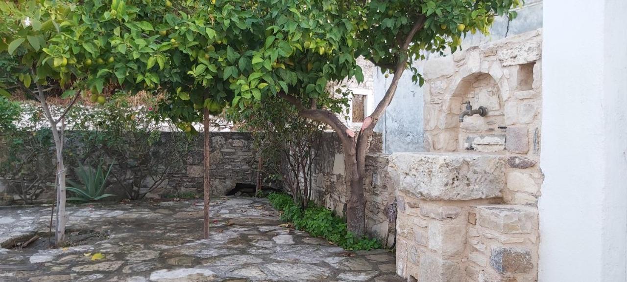 Small Traditional House In Asfendiou Kos Agios Dimitrios  ภายนอก รูปภาพ